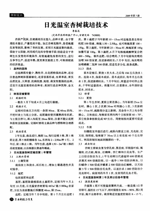 日光温室杏树栽培技术