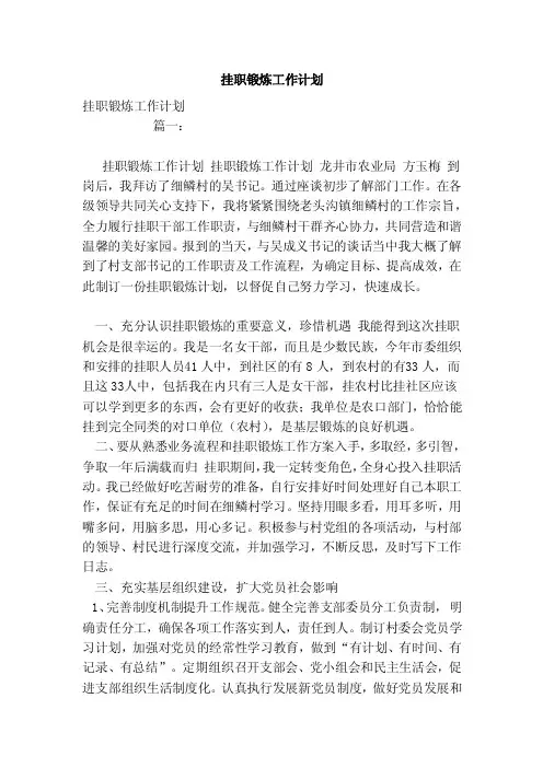 挂职锻炼工作计划（模板）