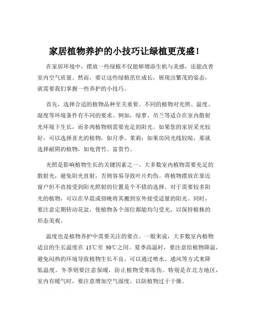 家居植物养护的小技巧让绿植更茂盛!