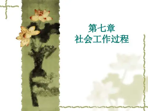 第七章 社会工作过程2