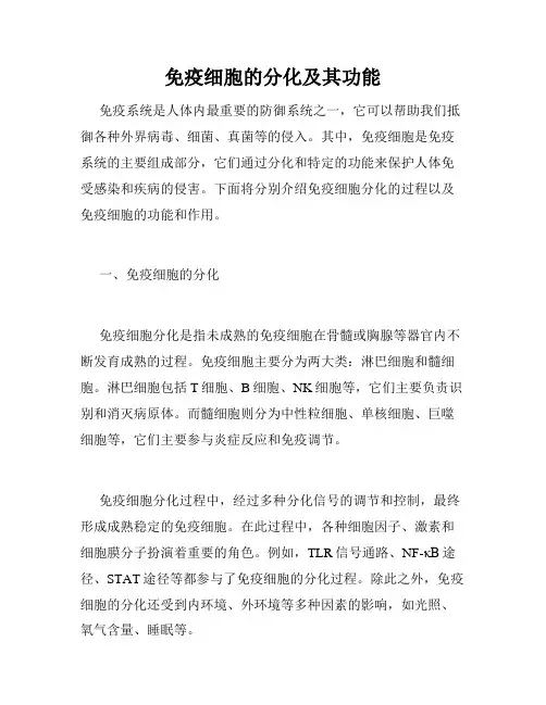 免疫细胞的分化及其功能