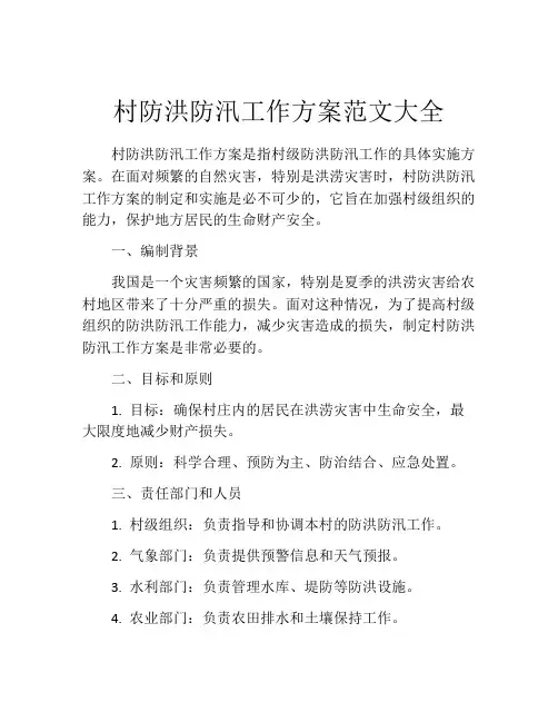 村防洪防汛工作方案范文大全