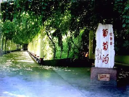 部编教材二年级上册语文《葡萄沟》优秀ppt课件