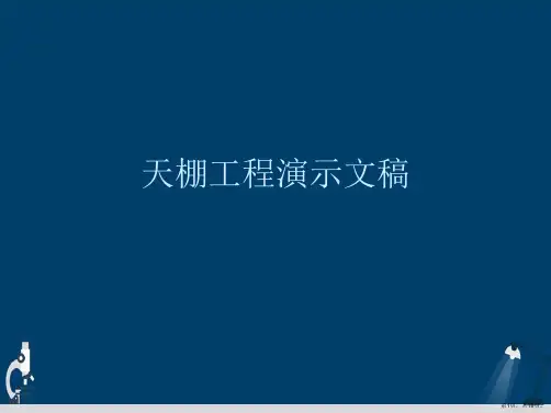 天棚工程演示文稿