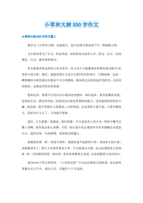 小草和大树800字作文