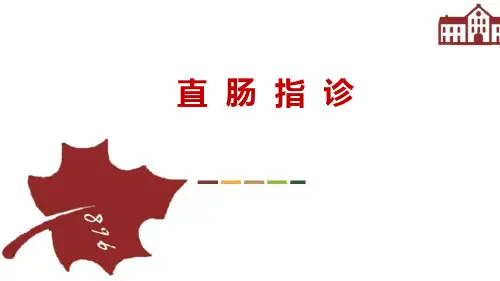直肠指诊前列腺指诊PPT课件