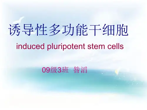 ips干细胞