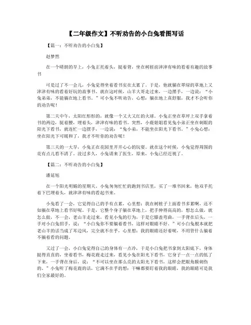 【二年级作文】不听劝告的小白兔看图写话