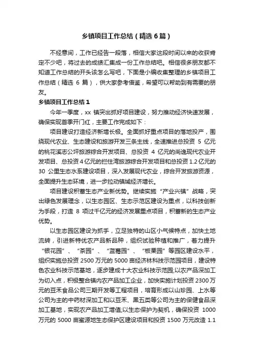乡镇项目工作总结（精选6篇）