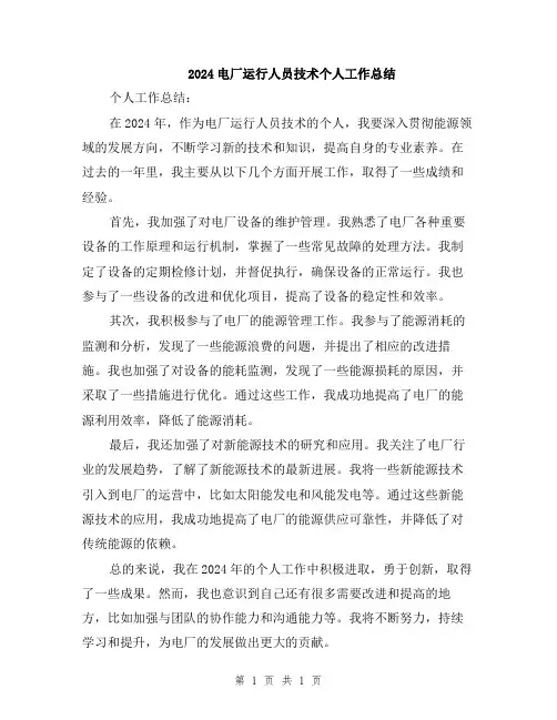 2024电厂运行人员技术个人工作总结