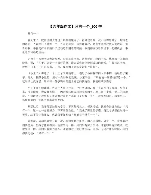 【六年级作文】只有一个_900字
