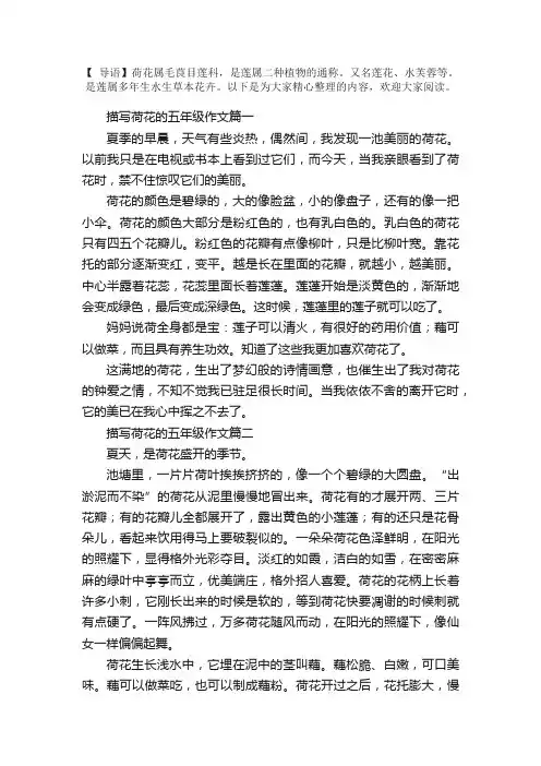 描写荷花的五年级作文五篇