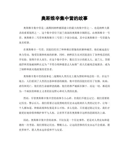 奥斯维辛集中营的故事