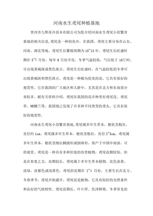 河南水生鸢尾种植基地