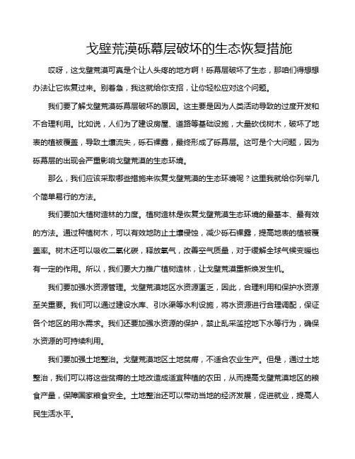 戈壁荒漠砾幕层破坏的生态恢复措施