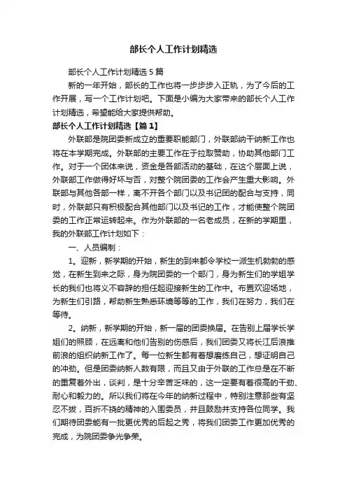 部长个人工作计划精选
