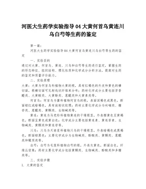 河医大生药学实验指导04大黄何首乌黄连川乌白芍等生药的鉴定