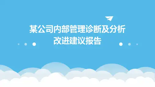 某公司内部管理诊断及分析改进建议报告