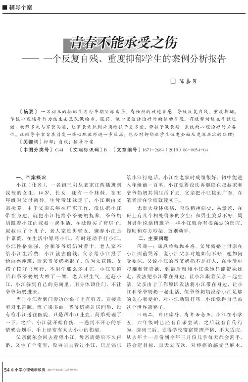 青春不能承受之伤——一个反复自残、重度抑郁学生的案例分析报告