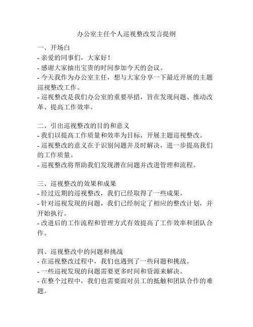 办公室主任个人巡视整改发言提纲