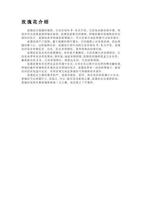 玫瑰花介绍——精选推荐