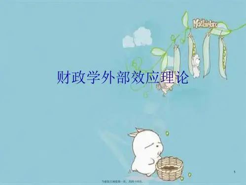 财政学外部效应理论