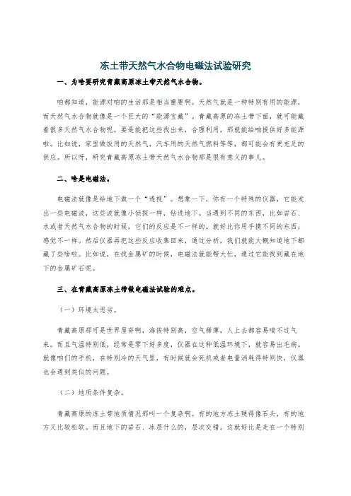 冻土带天然气水合物电磁法试验研究