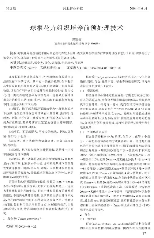 球根花卉组织培养前预处理技术