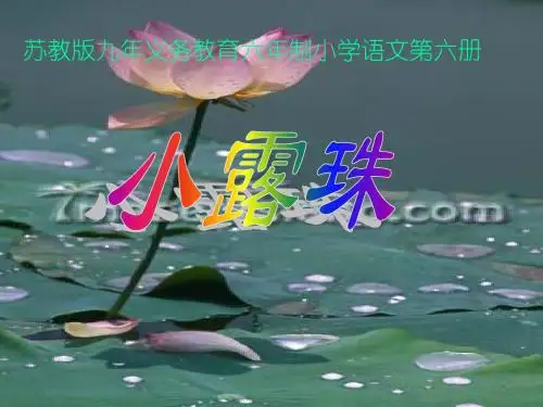 人教版小学三年级语文小露珠(新编201908)