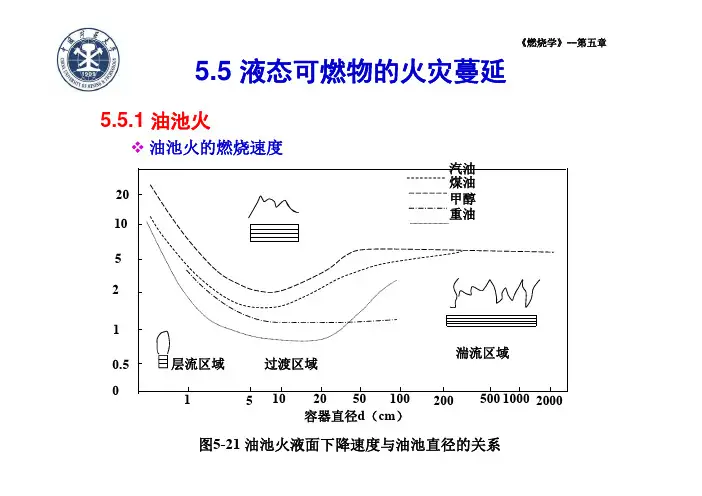 燃烧学—第5章3 [兼容模式]