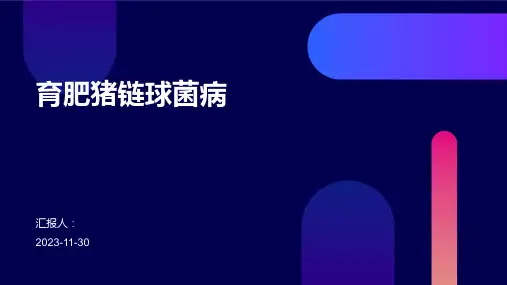 育肥猪链球菌病