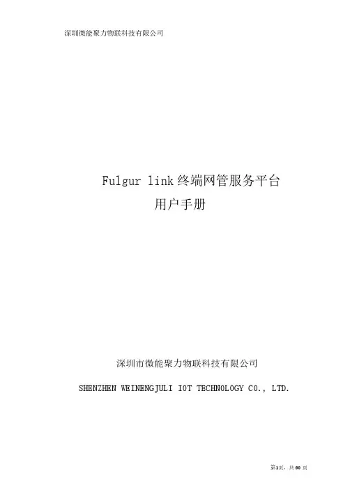Fulgur Link 终端网管服务平台用户手册说明书