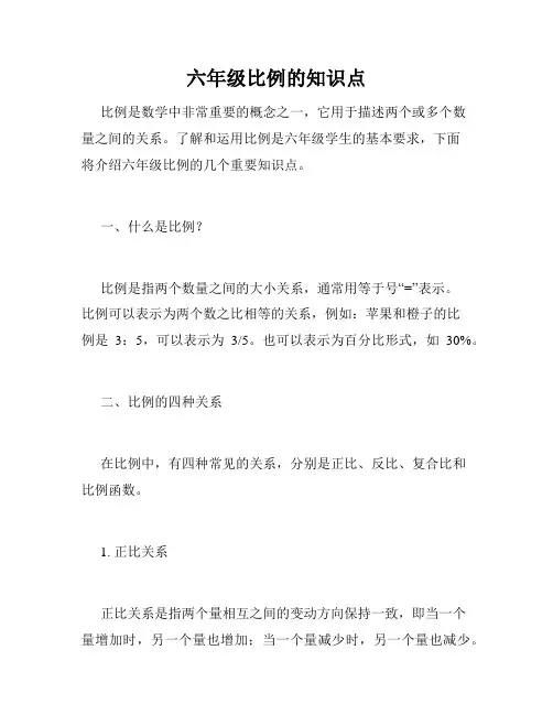 六年级比例的知识点