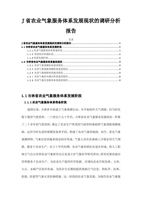 《J省农业气象服务体系发展现状的调查报告5000字》
