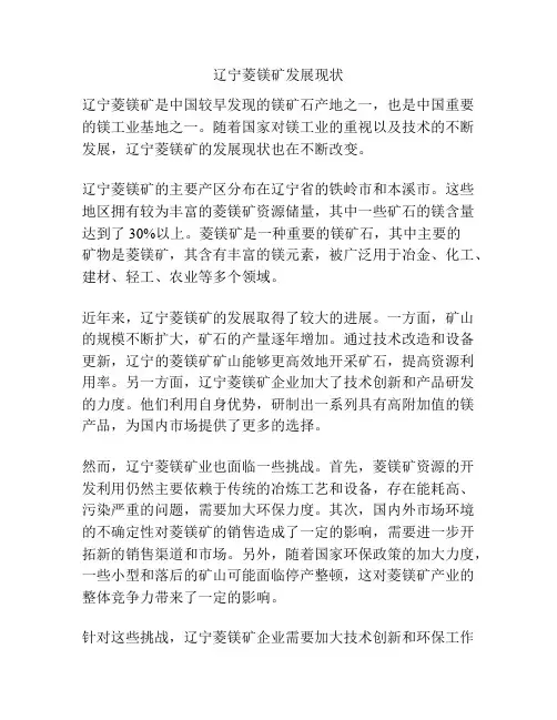 辽宁菱镁矿发展现状