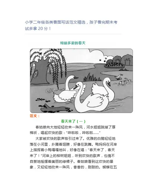 小学二年级各类看图写话范文精选,孩子看完期末考试多拿20分