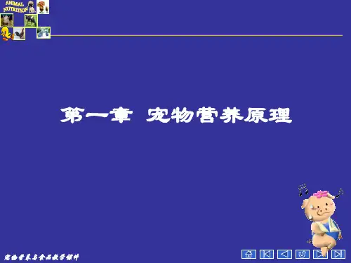 宠物营养学基本知识(能量与宠物营养)