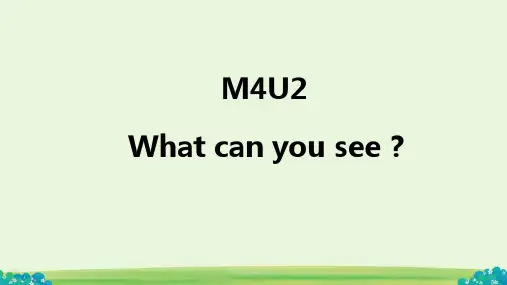 Module4Unit2Whatcanyousee_(课件)(一起)英语三年级上册