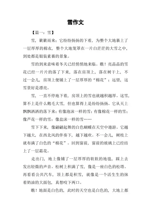 雪作文-1