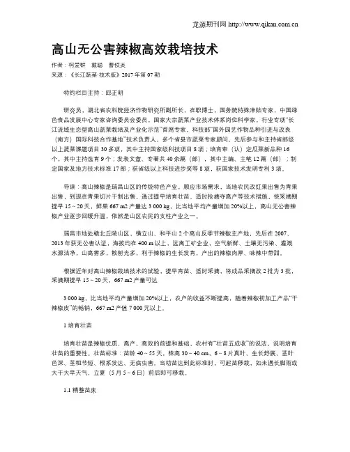 高山无公害辣椒高效栽培技术