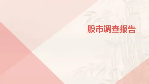 股市调查报告