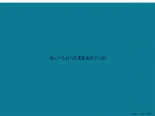 地佐辛注射液使用指南演示文稿