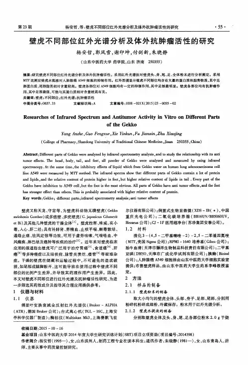 壁虎不同部位红外光谱分析及体外抗肿瘤活性的研究
