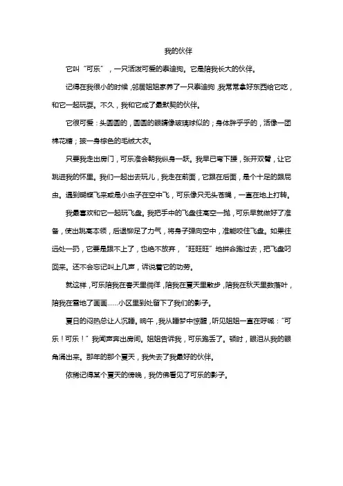 我的伙伴 