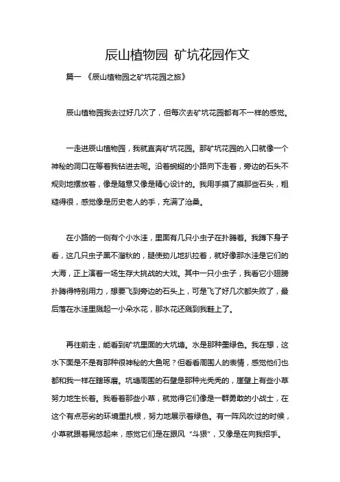 辰山植物园 矿坑花园作文