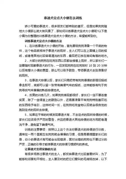 泰迪犬定点大小便怎么训练