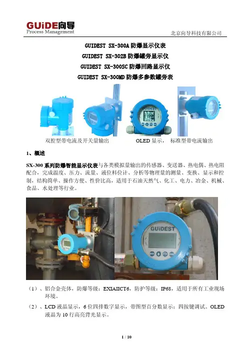 SX-300A防爆显示仪仪说明书