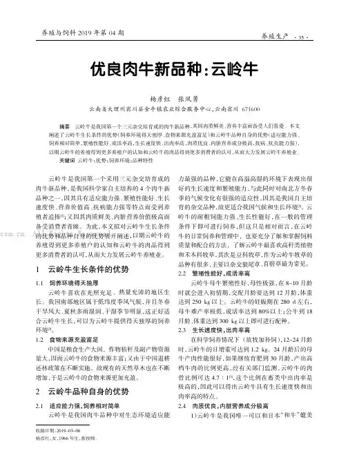 优良肉牛新品种云岭牛