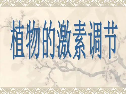 植物的激素调节(庚承红)