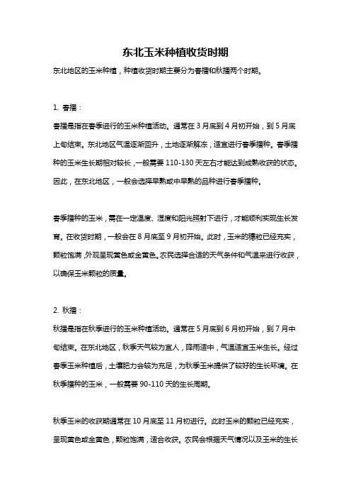 东北玉米种植收货时期